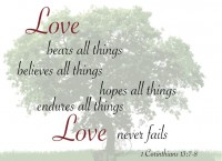 /album/think-positive-info/love-young-corinthians-jpg/